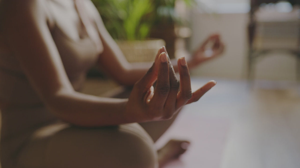 The functions of bhol – bhol - The Sound of Now